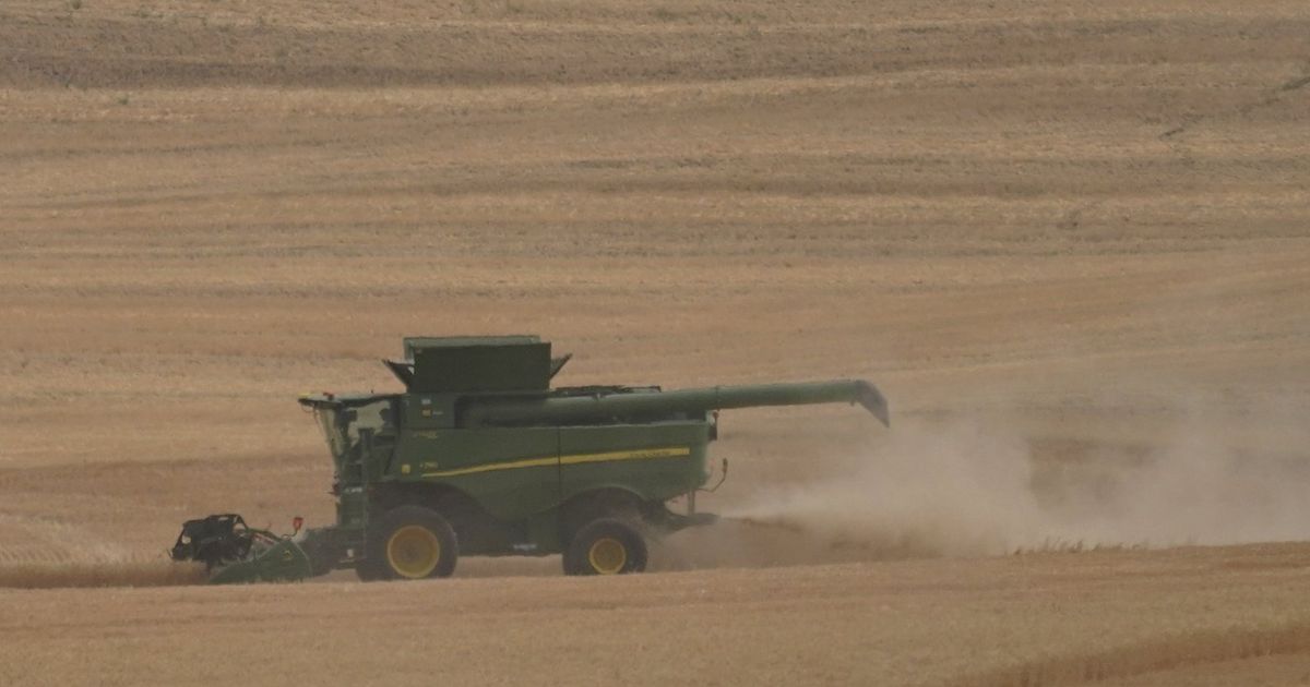 Washington state reports smallest wheat crop in decades | The Seattle Times