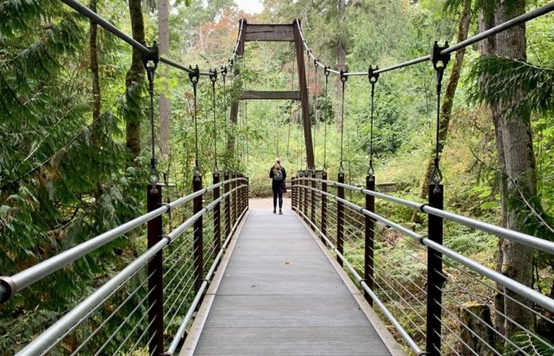 The Ravine Experience is a 150-foot suspension bridge at the Bellevue Botanical Garden.