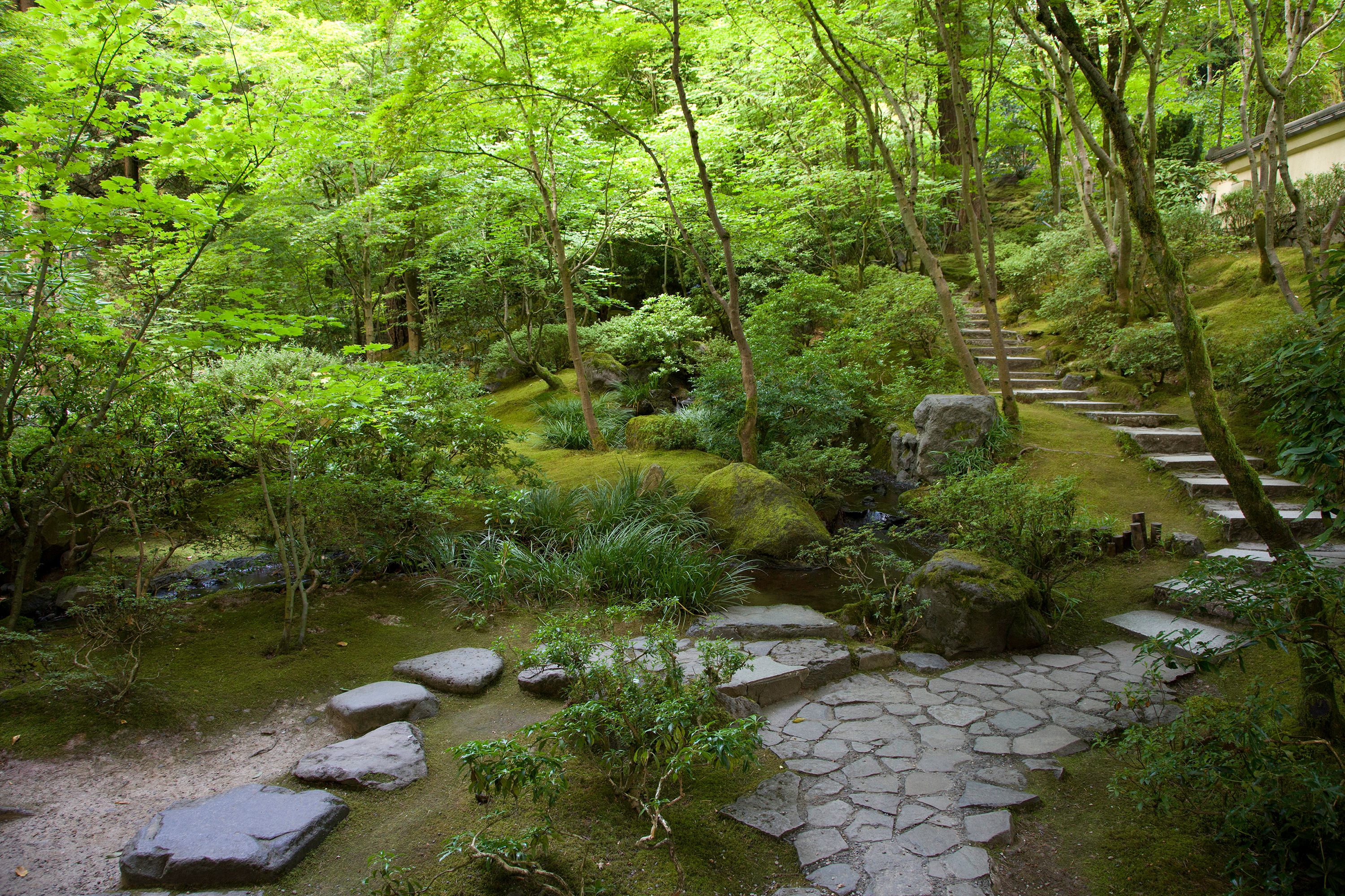 Bringing nature in': Japanese gardens speak to the moment | The