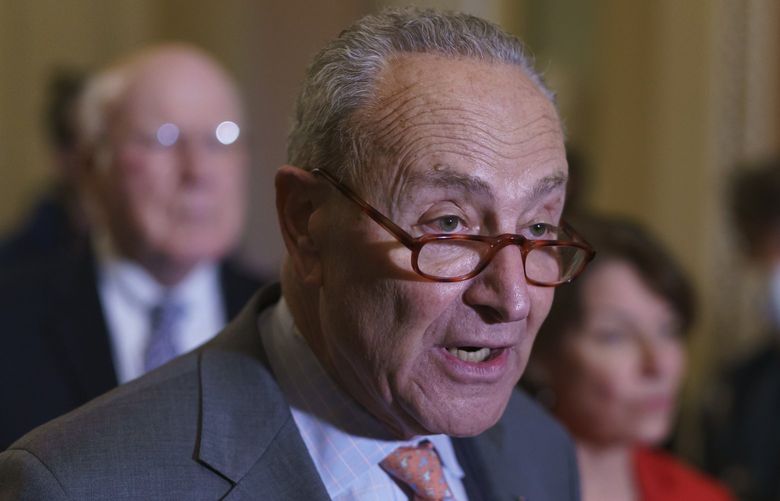 Senate Majority Leader Chuck Schumer, D-N.Y., talk about the need for the John Lewis Voting Rights Advancement Act, as he meets with reporters following a Democratic policy meeting at the Capitol in Washington, Tuesday, Nov. 2, 2021. (AP Photo/J. Scott Applewhite) DCSA131 DCSA131