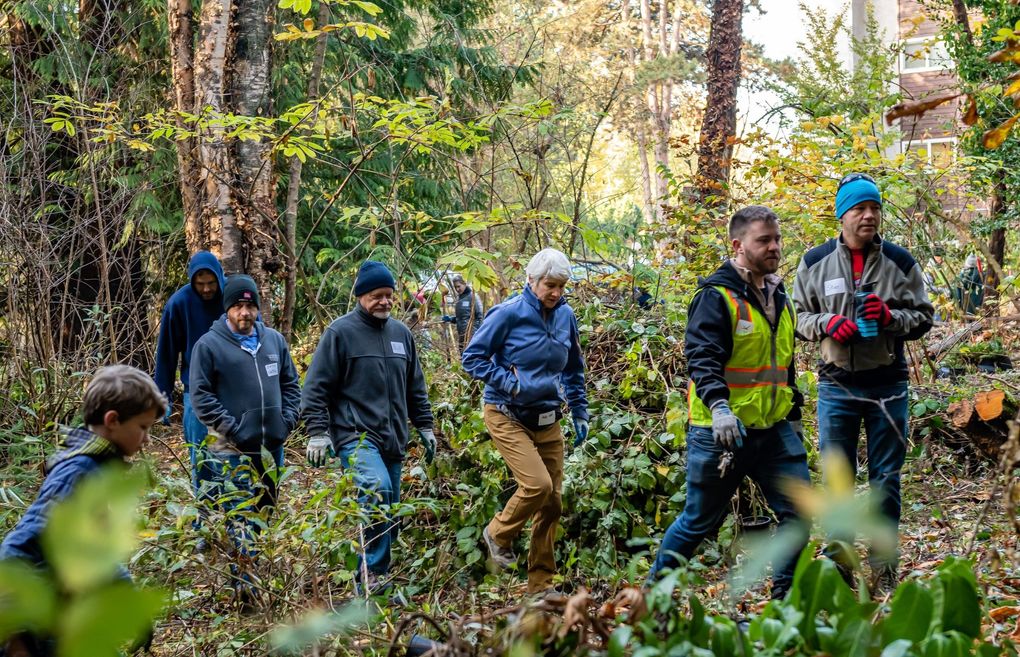 Nick Musso (yellow vest) of the Seattle Parks and Recreation Natural Area Crew leads volunteers through Beaver Pond Natural Area in Seattle on Green Seattle Day in 2019. (Andy Watson)