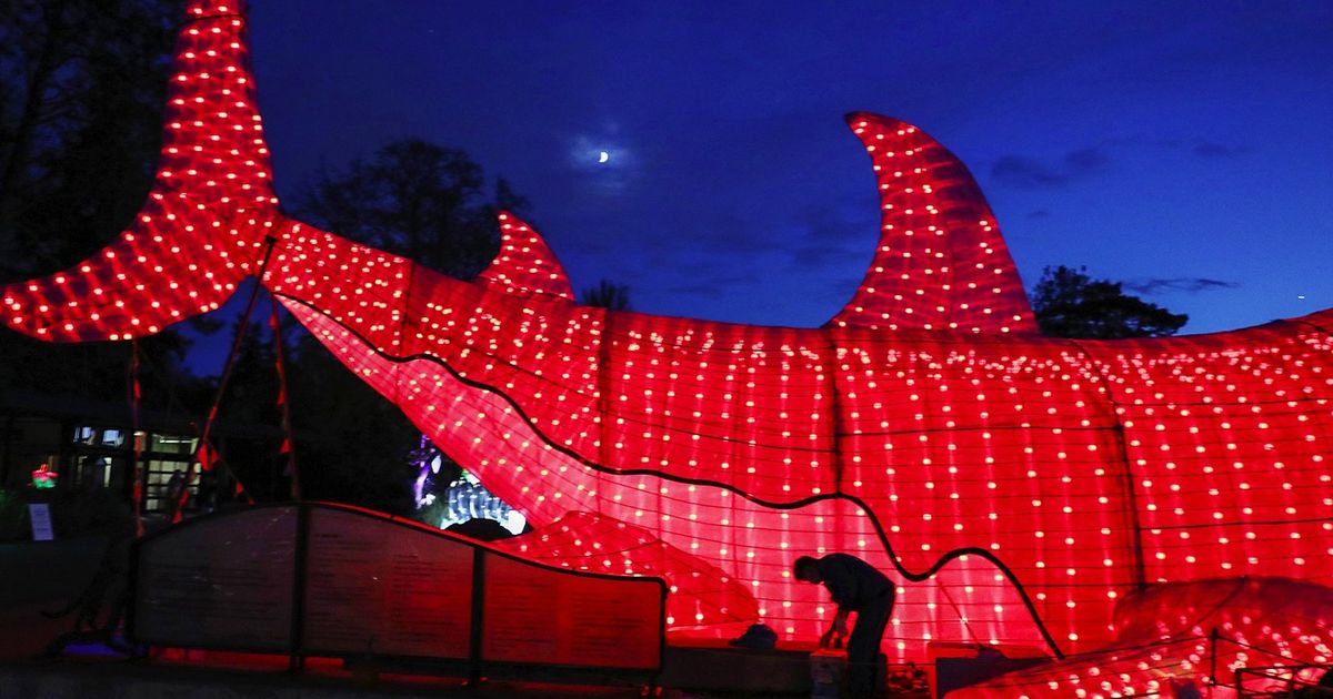 Largerthanlife figures light up the night at Woodland Park Zoo’s