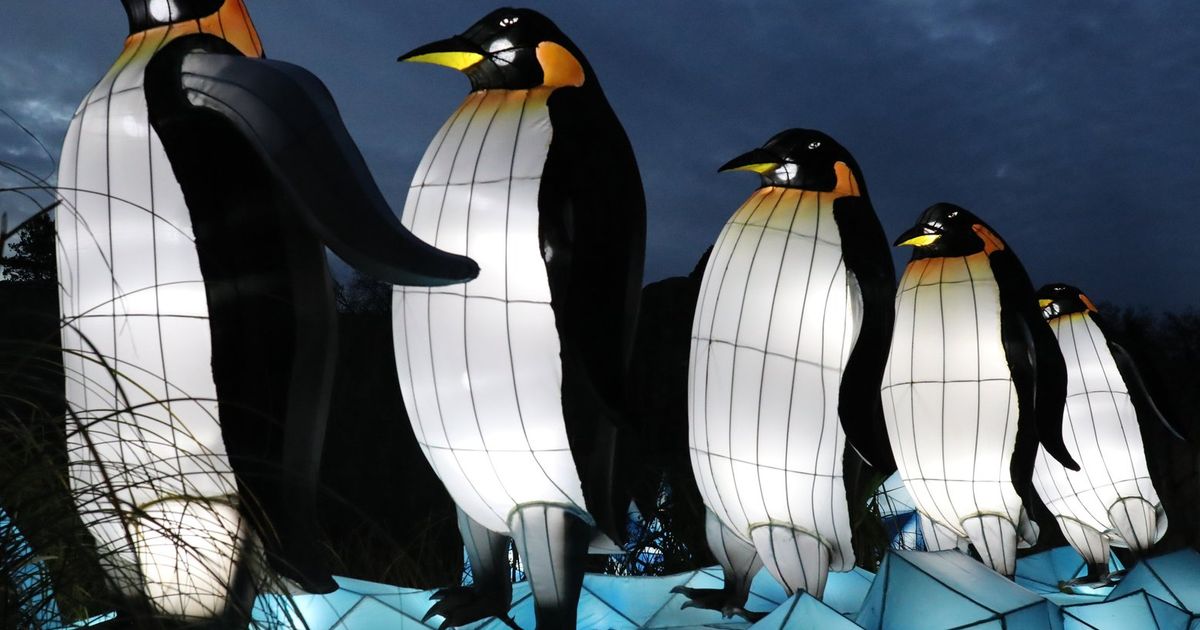 9 things to do in the Seattle area this weekend