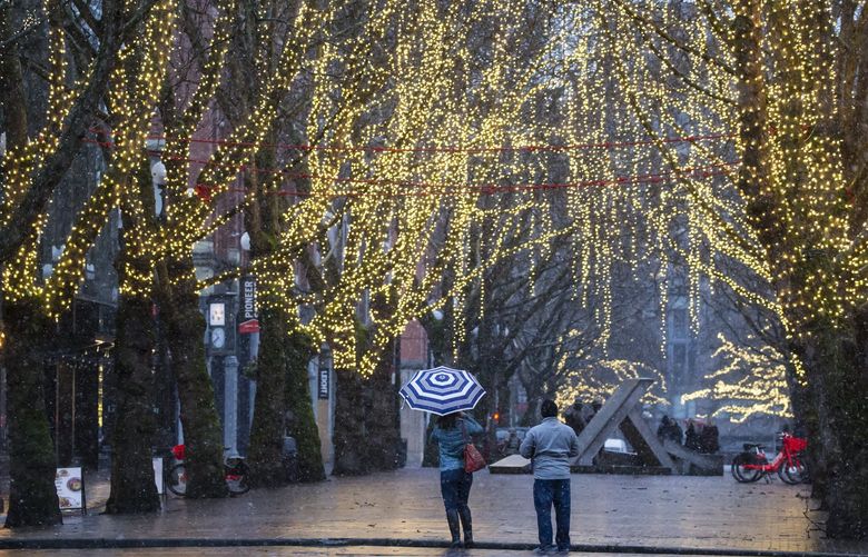 People pause to take photos of snow and the string lights in Occidental Park in the Pioneer Square neighborhood of Seattle Sunday February 3, 2019. 209225