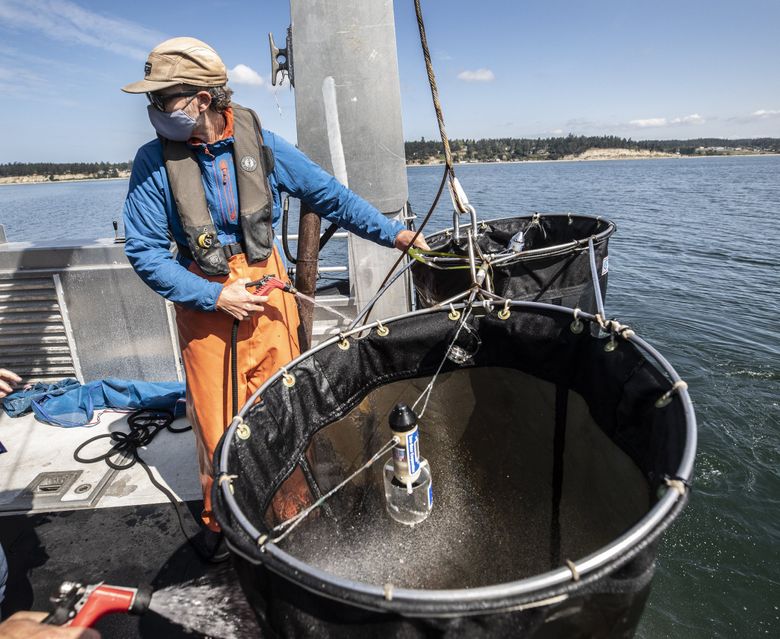 Washington state seeks tighter wastewater rules for Puget Sound