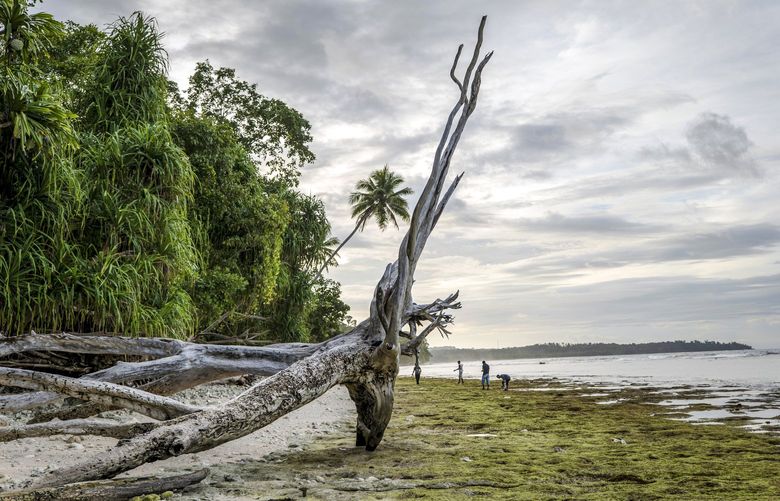 People walk along a beach on Biak, an island in Indonesia, on June 13, 2021. As civilians are launched into orbit and billionaires try to put humans on Mars, Indonesian officials hope to turn the island into a new frontier in the space race. (Ulet Ifansasti/The New York Times) XNYT98