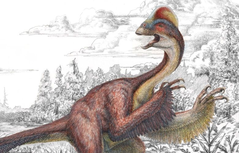 This is an illustration of Anzu wyliei, a dinosaur known as the “Chicken From Hell.”