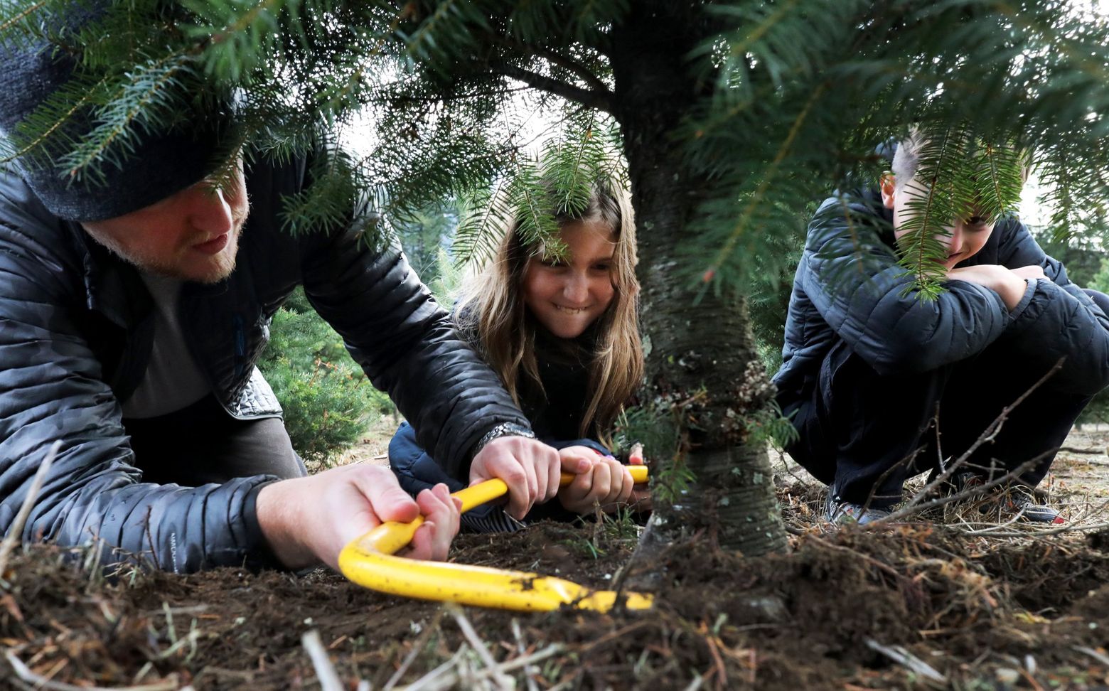 Seeking The Perfect Christmas Tree In North Bend The Seattle Times