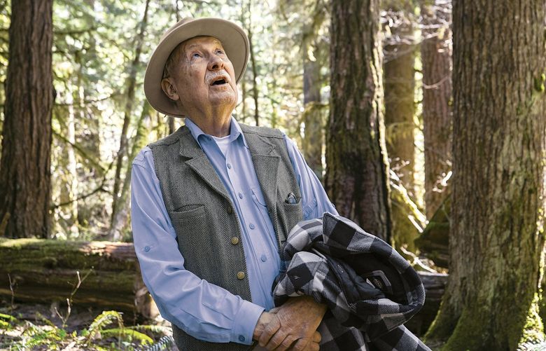Wed., April 21, 2021.    Retired UW professor Jerry Franklin taking in the old growth giants on the nature trail loop at Cedar Flats Research Natural Area near Cougar, Washington.   216172
