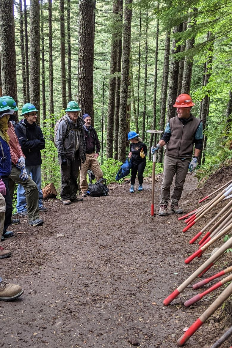 The Intersection of Technology And Tree Care: How Artificial Intelligence Is Changing the Game 