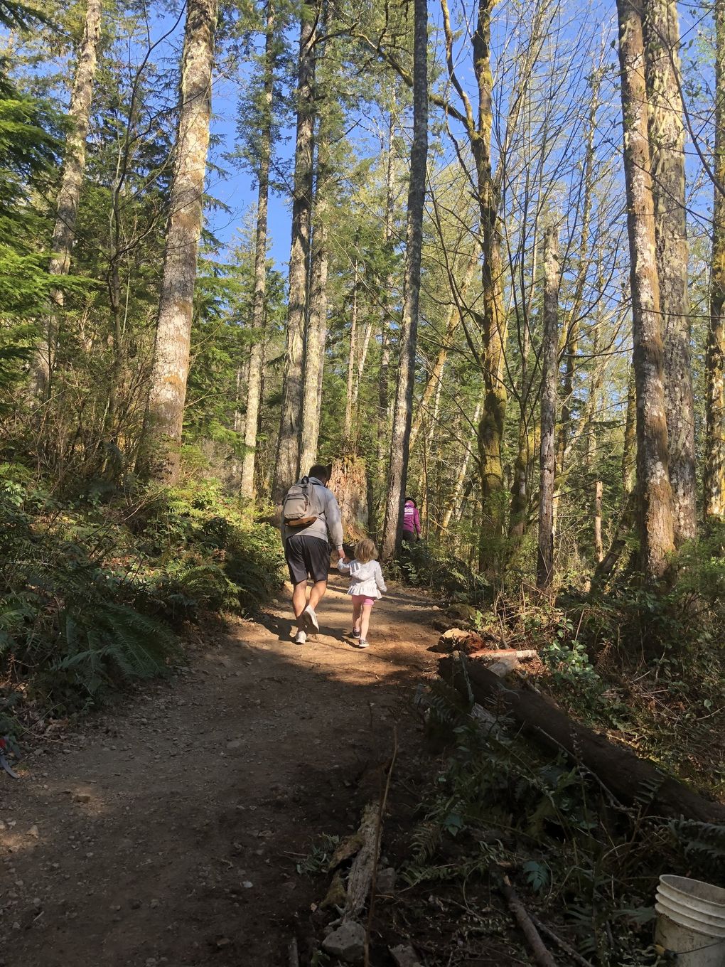 A family enjoys a spring hike earlier this year at Rattlesnake Ledge. The trail has grown increasingly popular since its construction in 2003-04, necessitating long-term maintenance work that was started on the trail during an extended closure last year. (Courtesy of Washington Trails Association)