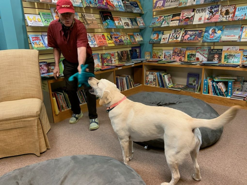 BookTree bookstore owner Chris Jarmick plays with Mae May the yellow Labrador in the children’s reading room at BookTree in Kirkland. (Courtesy of Chris Jarmick / BookTree)