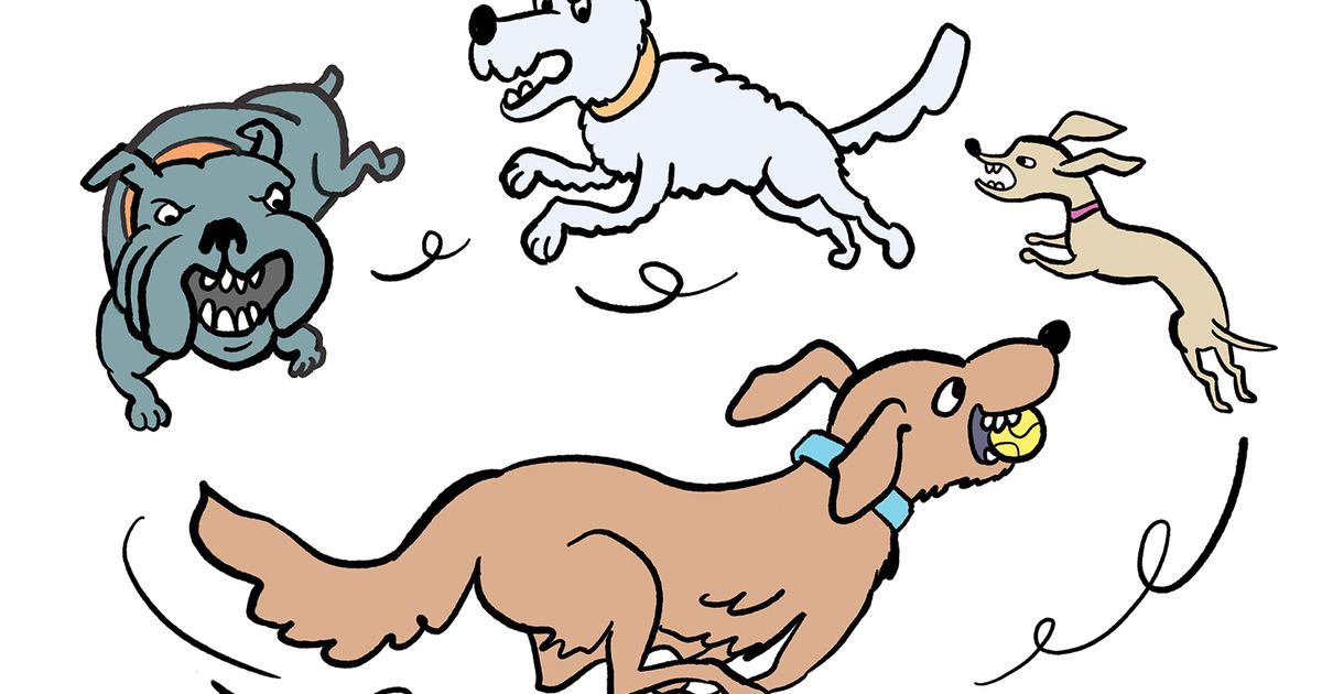 Rant & Rave: Jam sosial anjing adalah ledakan bagi anjing tetapi mengganggu pemilik kondominium Seattle ini