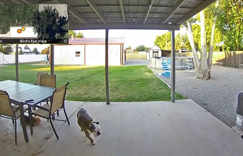 The best video doorbell cameras of 2021 The Seattle Times