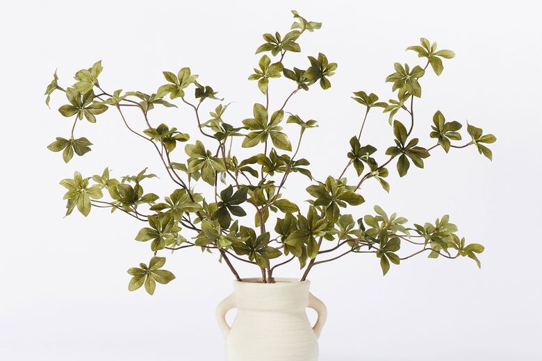 The best, most realistic-looking fake plants for decorating your ...