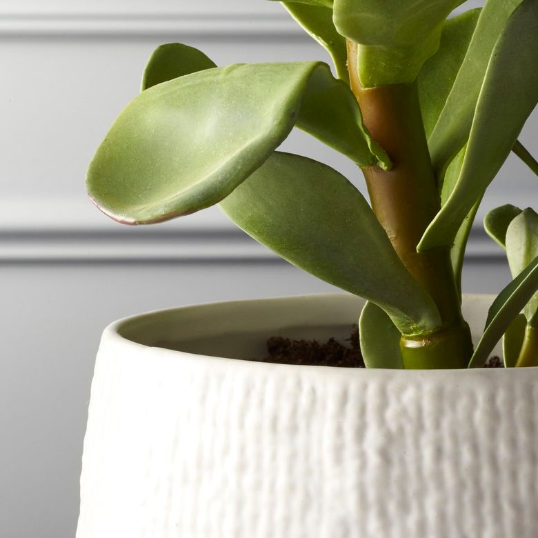 The best, most realistic-looking fake plants for decorating your