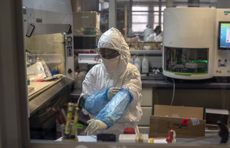 FILE – A technician works in a laboratory at the Nelson R. Mandela School of Medicine in Durban, South Africa, on Nov. 15, 2021. Mutations can work together to make a virus more fearsome, but they can also cancel one another out. (Joao Silva/The New York Times) XNYT17 XNYT17