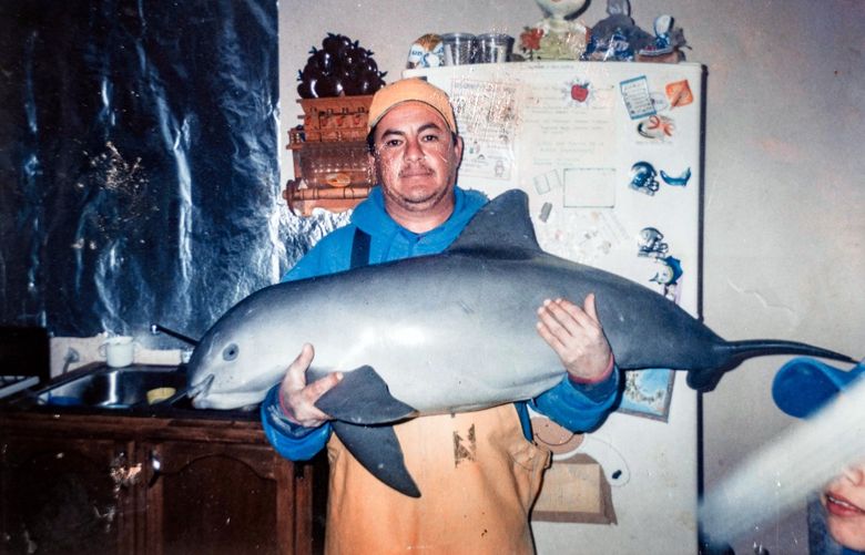 A family photo shows Leonardo Angulo with a dead vaquita at his home in Santa Clara, Mexico, in 2004. Angulo said he found the animal floating at sea.  (The Angulo Family via The New York Times) — NO SALES; FOR EDITORIAL USE ONLY WITH NYT STORY SLUGGED MEXICO VAQUITAS BY CATRIN EINHORN FOR NOV. 23, 2021. ALL OTHER USE PROHIBITED. — XNYT18 XNYT18