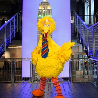 Serangan balik Big Bird: Vax bahkan mendaratkan Muppet di politik