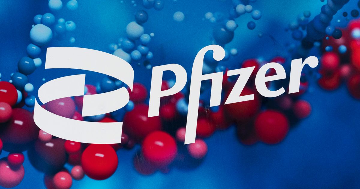 EU reviewing Pfizer’s COVID antiviral pill for emergency use The