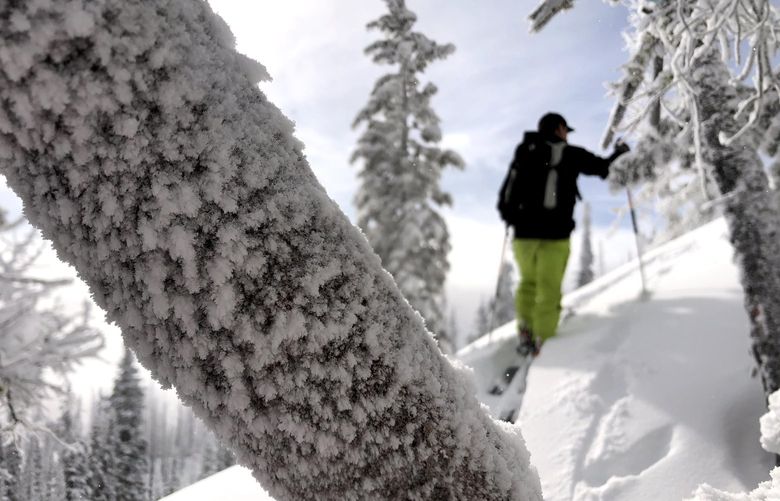 An off-piste skier follows a skin trail in fresh snow near the Alpine Lakes High camp.
