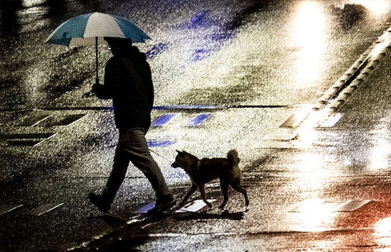 Naomi's Doggie Umbrella Naomi's Doggie Umbrella