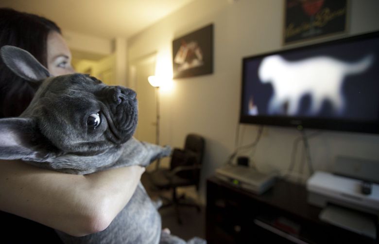 In this April 7, 2012 picture, Bleu, a French bulldog owned by Maria Catania, left, watches DogTV in her apartment in San Diego. One million subscribers with two cable companies have access to DogTV in San Diego,  an 8-hour block of on-demand, daily cable TV programming designed to keep your dog relaxed, stimulated and exposed to new things while you are at work or school. (AP Photo/Gregory Bull)