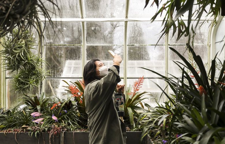Naomi Jun takes a photo of plants while visiting Volunteer Park Conservatory in Capitol Hill on Thursday, Dec. 16, 2021. Jun and a group of friends had recently finished finals at University of Washington and decided to do a fun activity together. 

LO