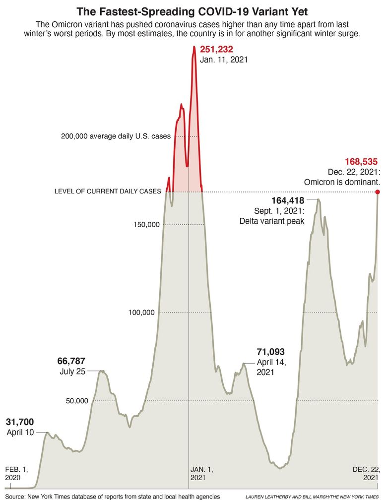 Delta vs. Omicron: Which COVID-19 variant will become dominant in the US? -  The Boston Globe