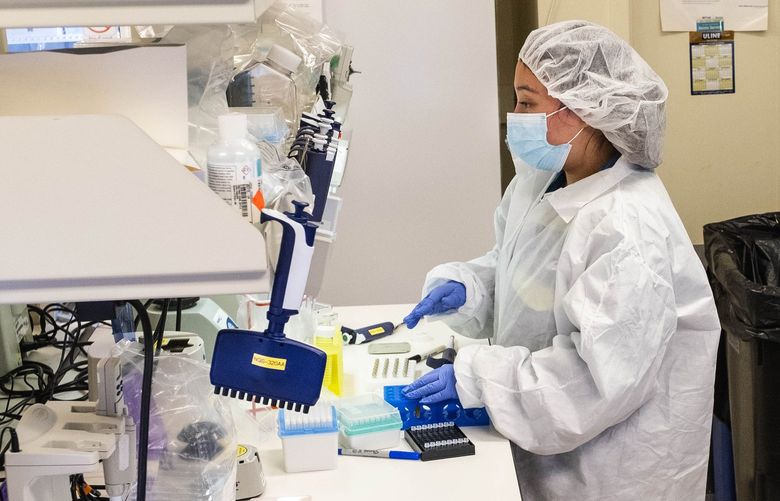 Staffers at the University of Washington’s clinical virology lab prepare samples to be tested for the coronavirus.

This UW Virology lab on Eastlake is where scientists have been sequencing the coronavirus since the start of the pandemic.

Photographed Friday, December 17, 2021 219117