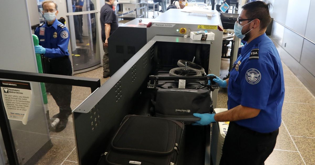Travel forecast 2022: Experts weigh in on pandemic-ready getaways and strategies Travel forecast 2022: Experts weigh in on pandemic-ready getaways and strategies