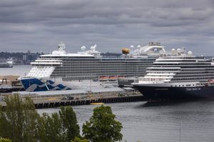 Some lawmakers are calling for cruise companies to dock their ships amid an uptick in coronavirus infections. Two cruise ships are seen docked at Terminal 91 in Seattle on July 20: the Majestic Princess, left, operated by Princess Cruises, and the Nieuw Amsterdam with the Holland America Line.  (Ellen M. Banner / The Seattle Times)