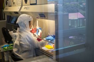 The Africa Health Research Institute in Durban, South Africa, where researchers performed a study of 13 blood samples from people who were vaccinated or had recovered from COVID, and mixed them with different variants. (Jerome Delay / The Associated Press)