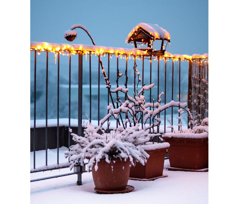 Don T Let Outdoor Container Plants Fall Prey To Winter Here S How Prepare The Seattle Times Don T Let Outdoor Container Plants Fall, How To Prepare Outdoor Pots For Winter