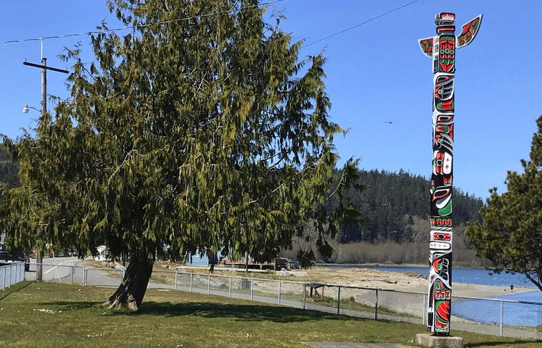 A smallpox mass grave on the Makah reservation is a reminder this tribe has faced pandemics before.
Credit Isabell Ides