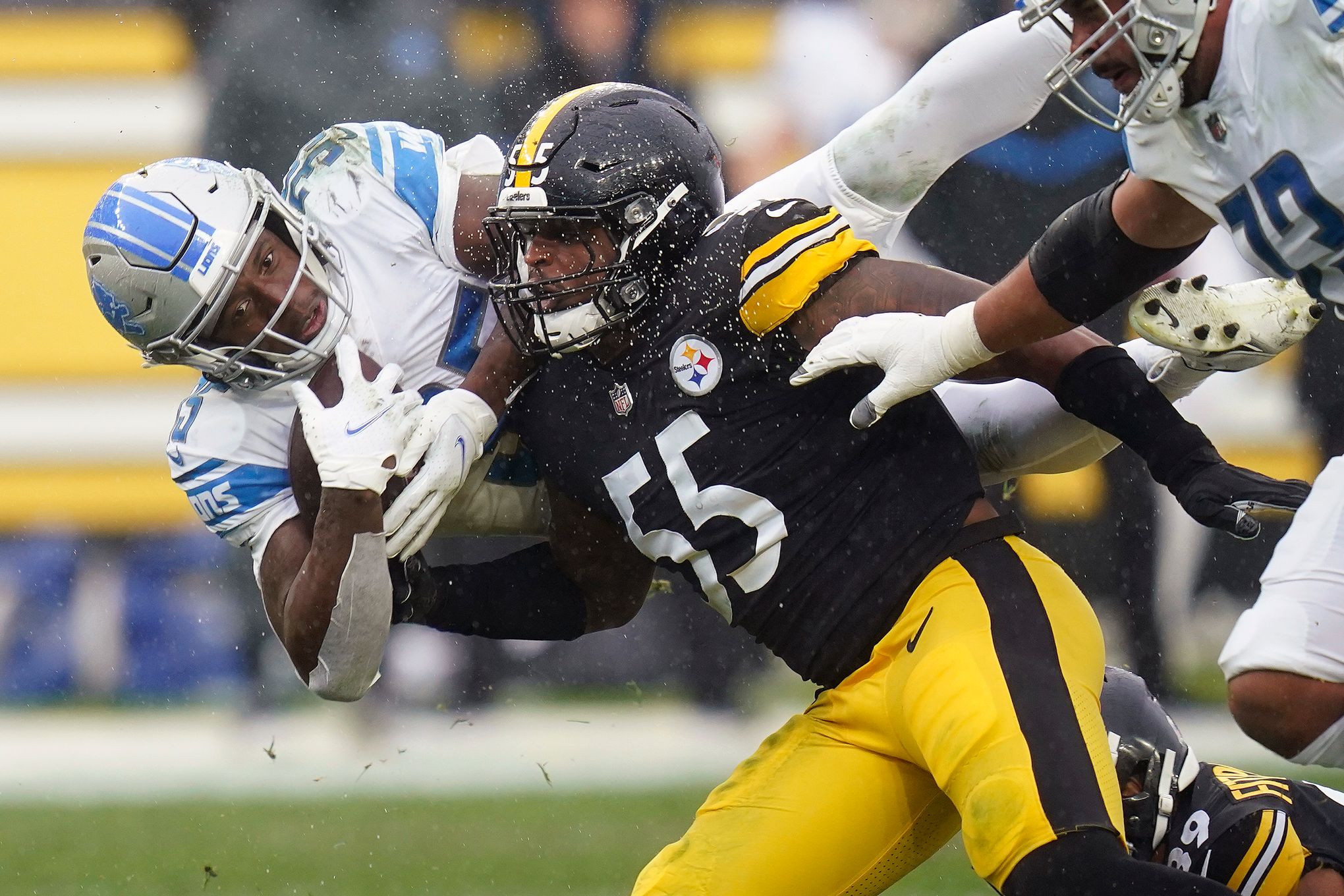 Gallery of the best pics of Steelers rookie LB Devin Bush