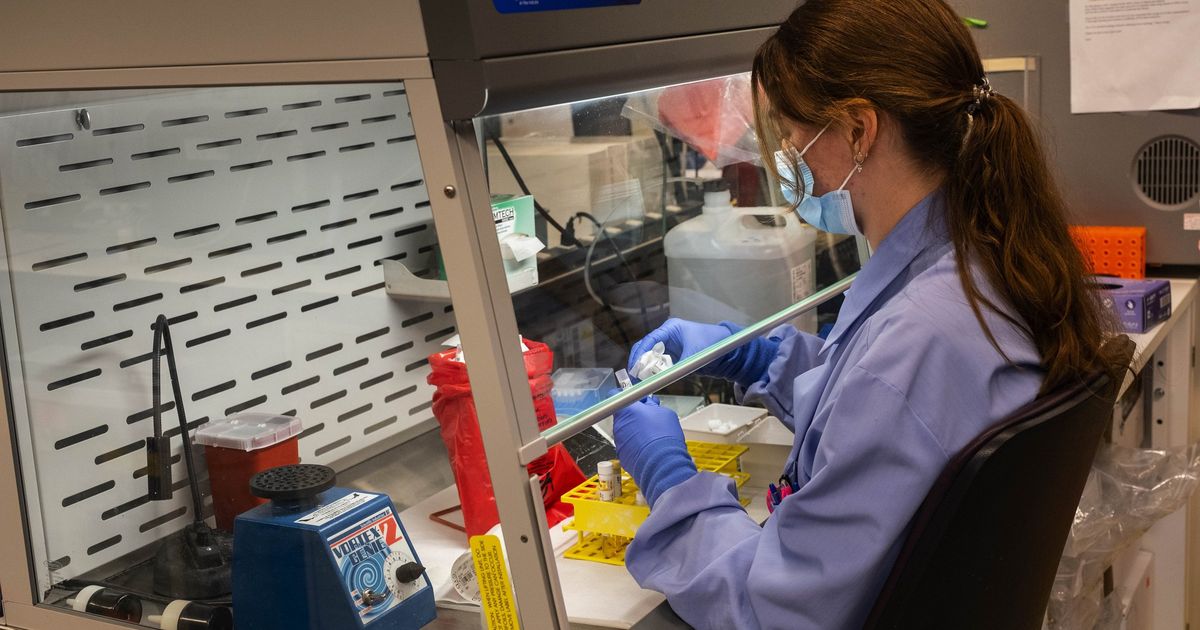 CDC says COVID level ‘high’ in King County, recommends masks CDC says COVID level ‘high’ in King County, recommends masks