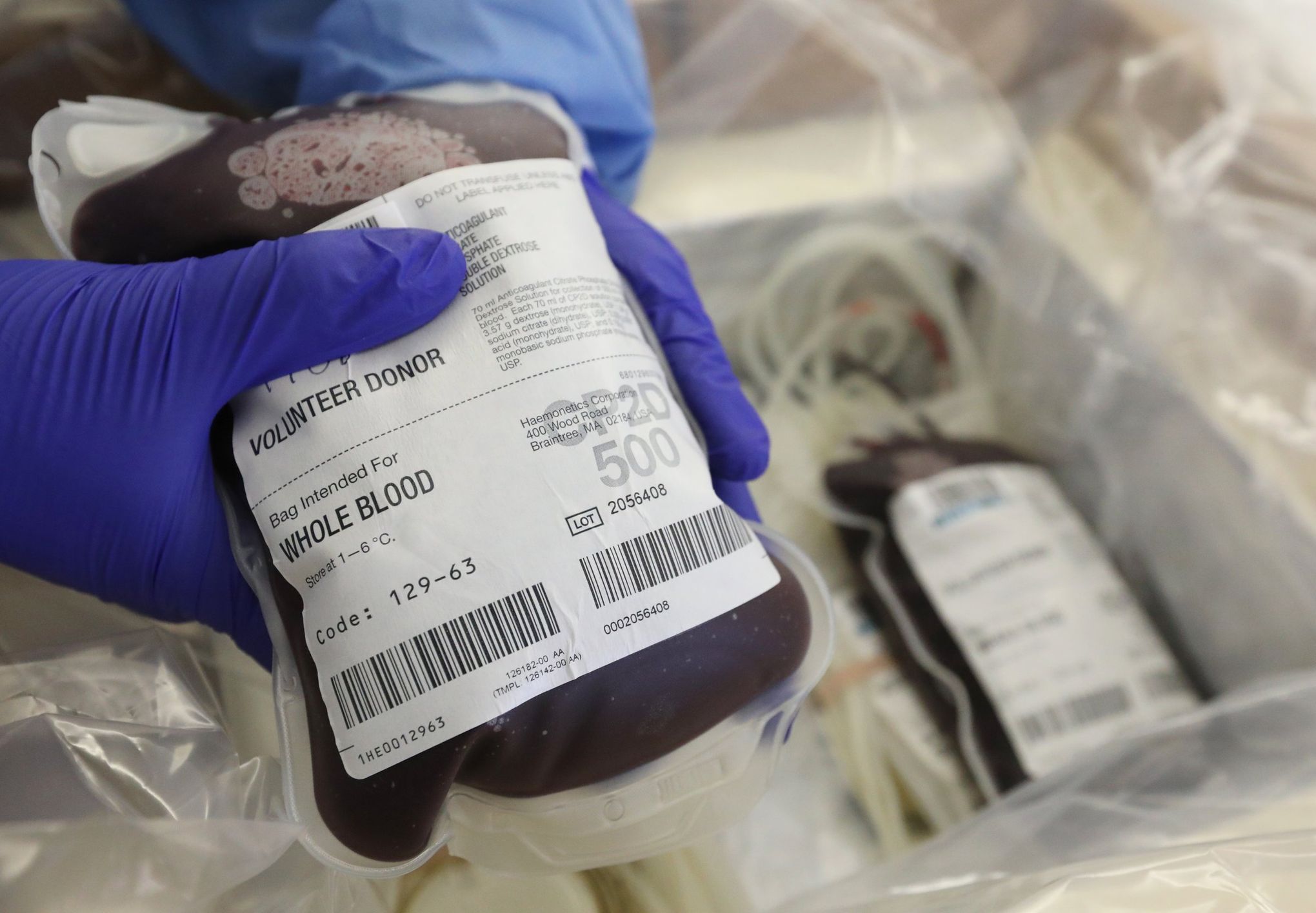 Donated blood prepared to be shipped at Bloodworks Northwest