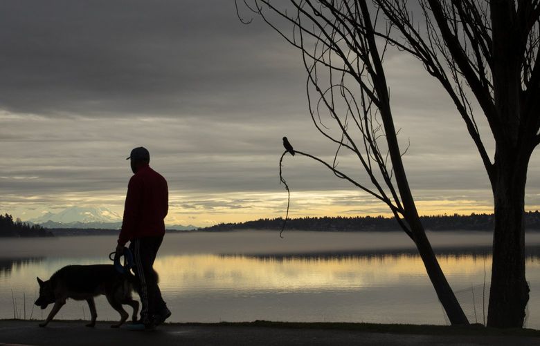 A man walks his dog with a backdrop of Mt. Rainier at Seward Park Wednesday, January 12, 2022.   Rain is expected Thursday, but Friday and the weekend should be dry.  219316