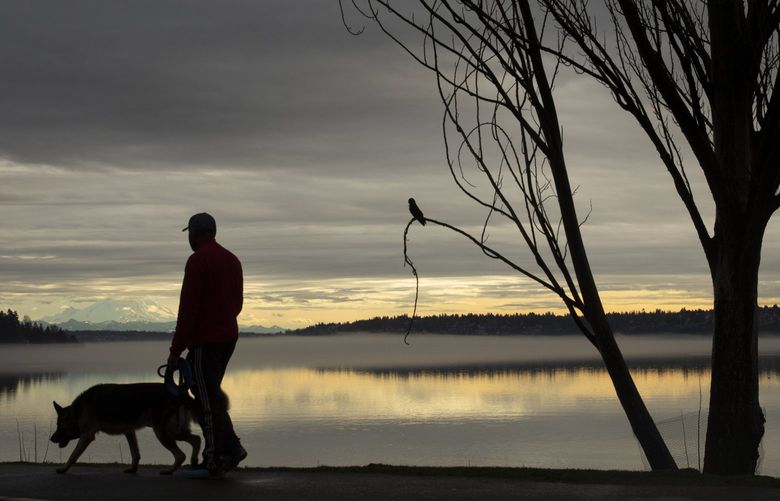 A man walks his dog with a backdrop of Mt. Rainier at Seward Park Wednesday, January 12, 2022. Rain is expected Thursday, but Friday and the weekend should be dry. 219316