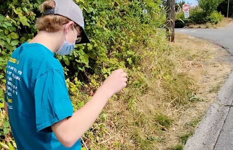 Charlie Howe of North Seattle walks along a path to reach the Washington School for the Blind, where he was taking classes last summer. The lack of a sidewalk along busy Northeast 95th Street makes it especially dangerous for pedestrians.