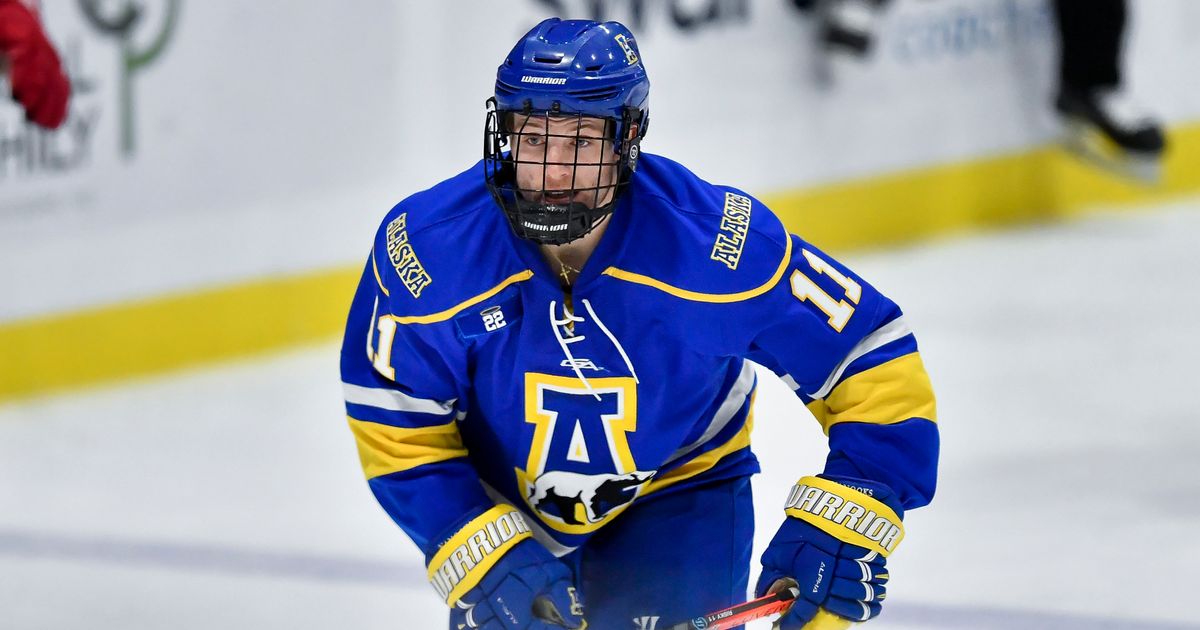 Alaska nanooks jersey Clearance