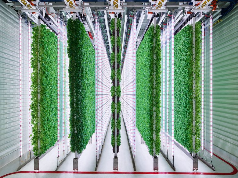 The Vertical Farm