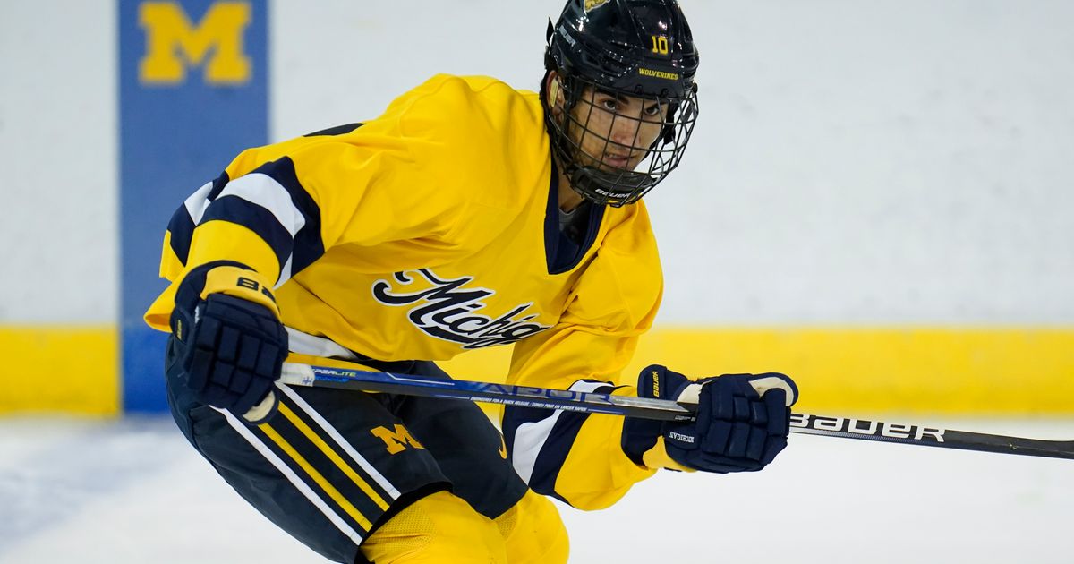 US Olympic men’s hockey roster includes 15 college players | The ...