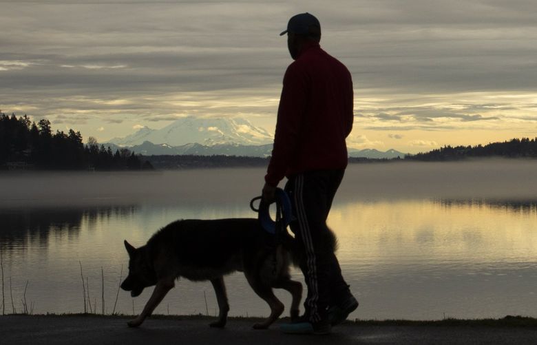 A man walks his dog with a backdrop of Mt. Rainier at Seward Park Wednesday, January 12, 2022.   Rain is expected Thursday, but Friday and the weekend should be dry.  219316