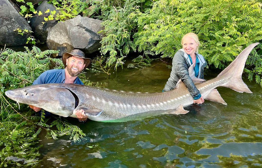 Pacific Northwest-set episode of 'Mysterious Creatures' airs on Animal Planet this weekend | The Seattle Times Pacific Northwest-set episode of 'Mysterious Creatures' airs on Animal Planet this weekend | The Seattle Times