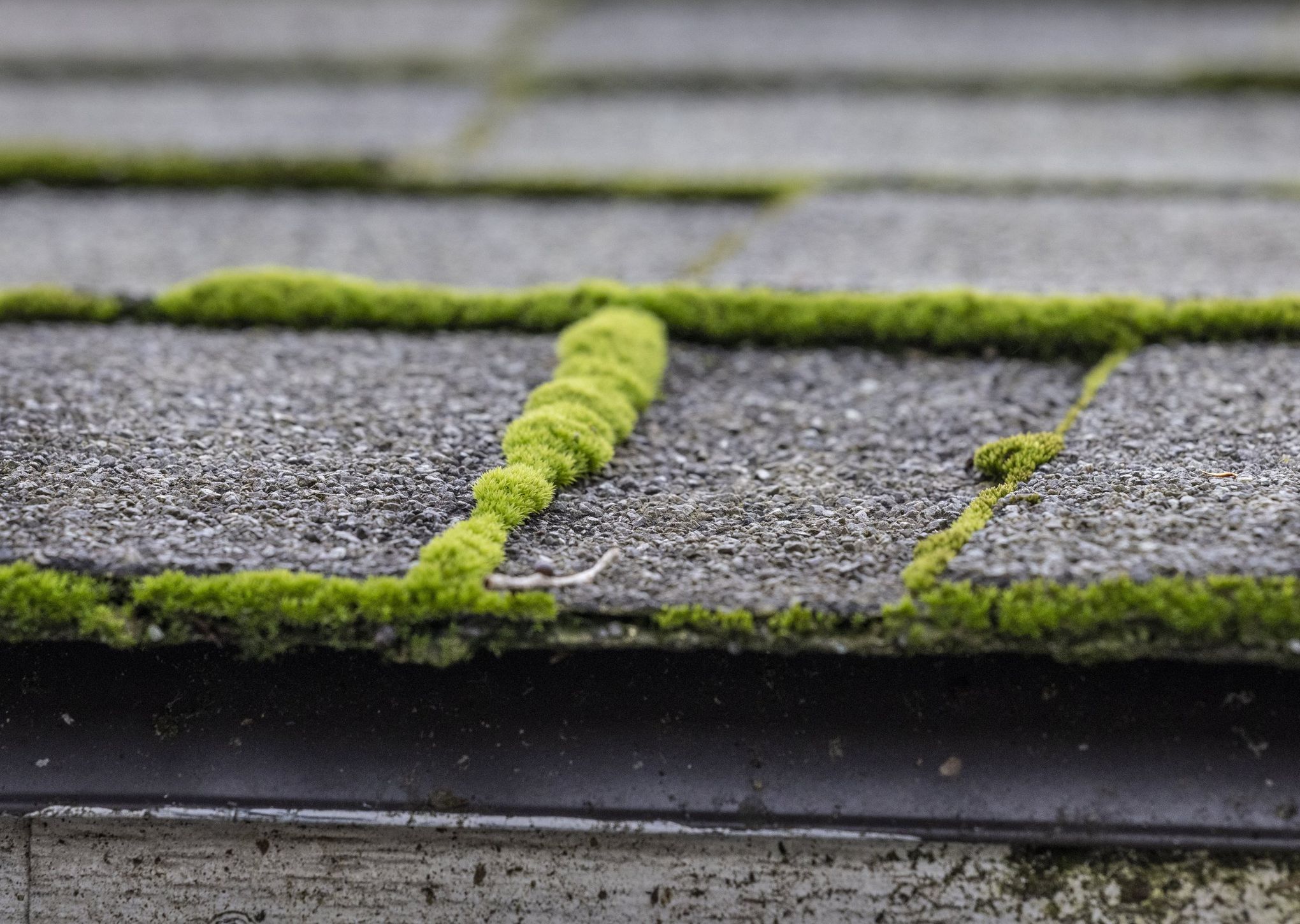 Remove Moss From Patio