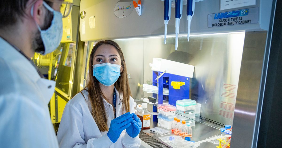 Job opportunities spotlight need for postsecondary credential The