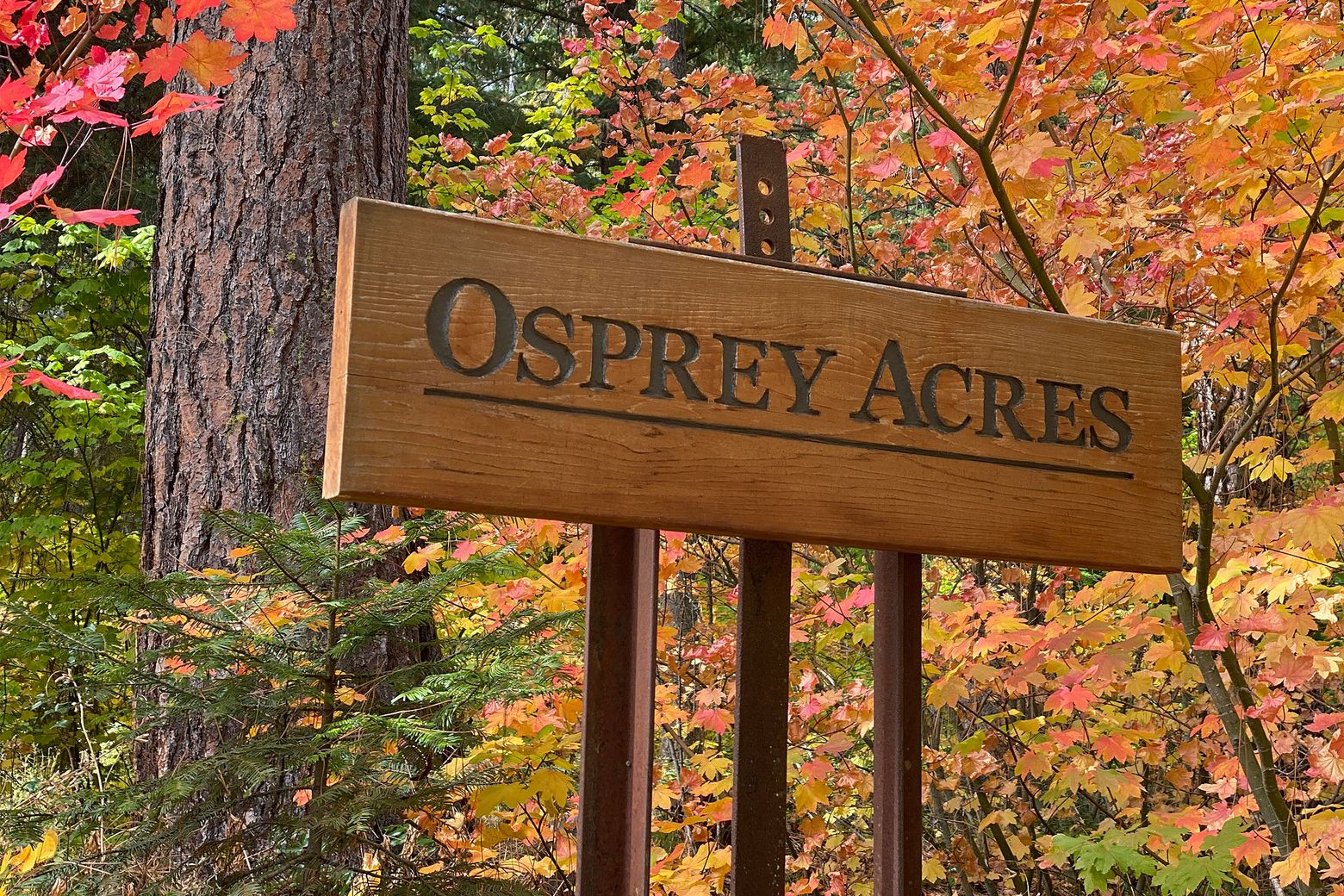 Outdoor Wood Letter Signs