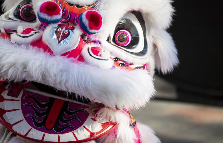 The White Lotus Lion Dance team perform at T?t in Seattle’s 26th annual festival celebrating the Vietnamese Lunar New Year at Seattle Center on Feb. 13, 2022. The dance and lion bring good luck and fortune.
T?t in Seattle event celebrates the culture of Vietnamese and Vietnamese-Americans in the Pacific Northwest through art, foos, music and traditions.
*Tet has accents that need be put in *